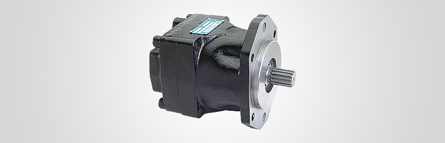 Vane Motor